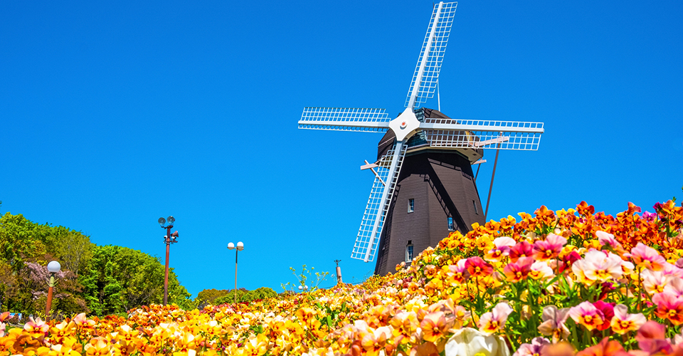 花博記念公園（イメージ）