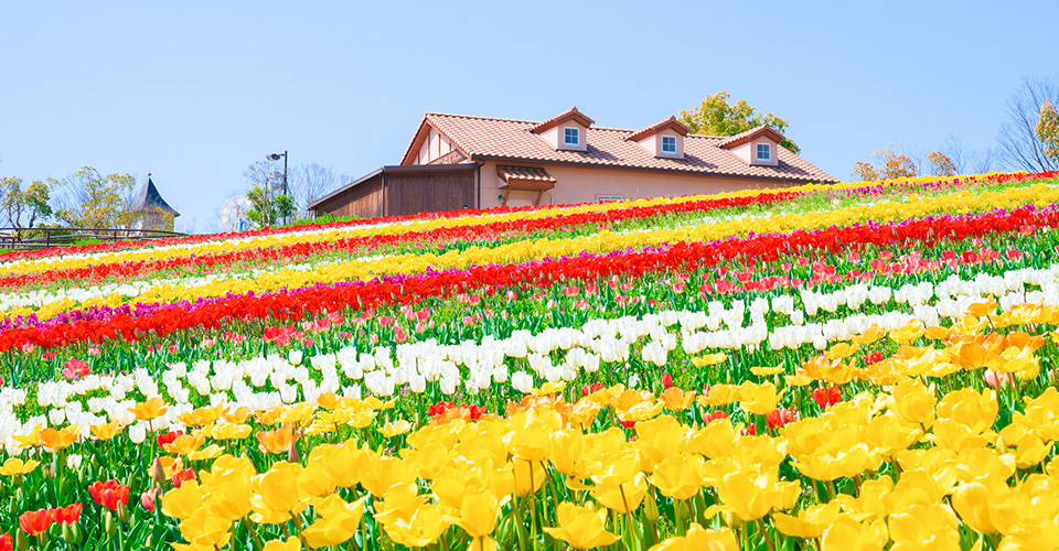 堺・緑のミュージアムのハーベストの丘（イメージ）