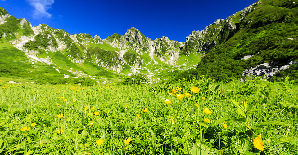 千畳敷カール(イメージ)