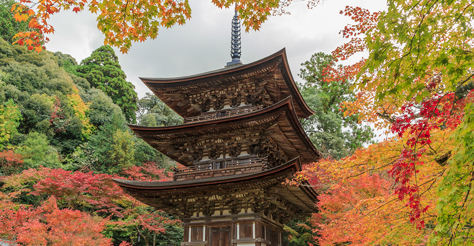 西明寺（イメージ）