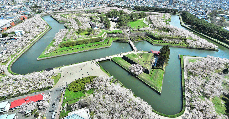 五稜郭公園（イメージ）