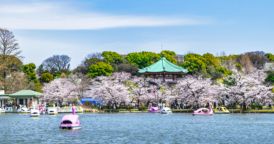 上野恩賜公園（イメージ）