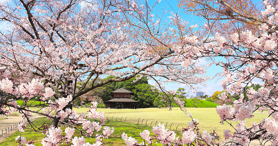 小石川後楽園（イメージ）