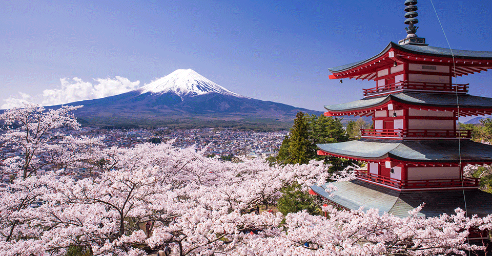 新倉山浅間公園（イメージ）