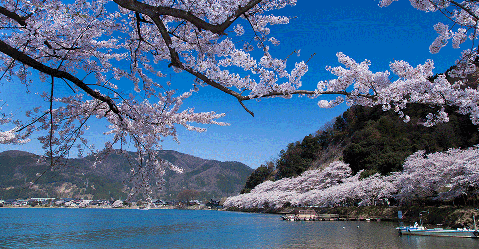 海津大崎（イメージ）