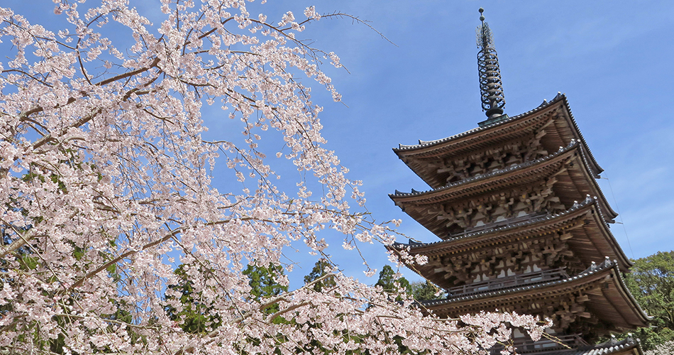 醍醐寺（イメージ）