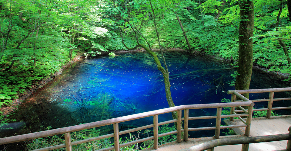 十二湖・青池（イメージ）