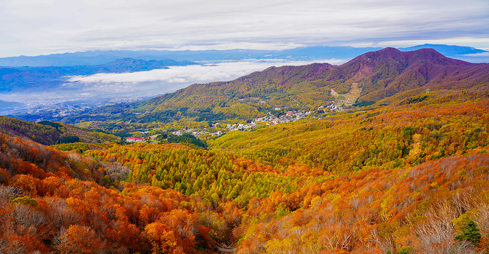 蔵王山（イメージ）