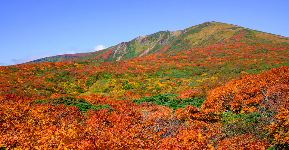 栗駒山（イメージ）