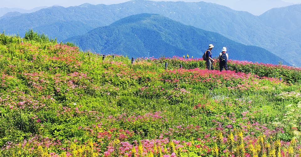 伊吹山（イメージ）