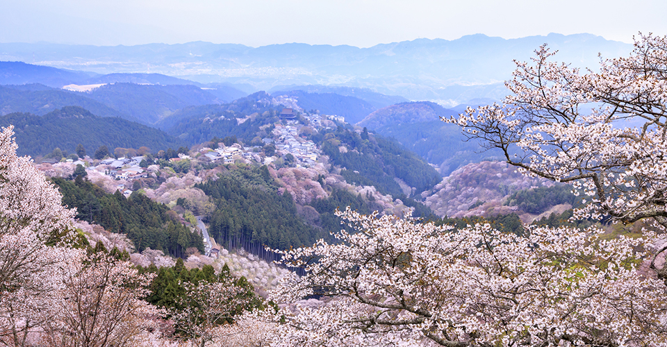 吉野山（イメージ）