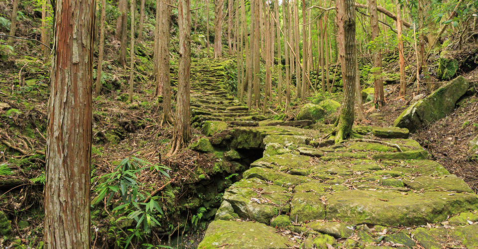 伊勢路（イメージ）