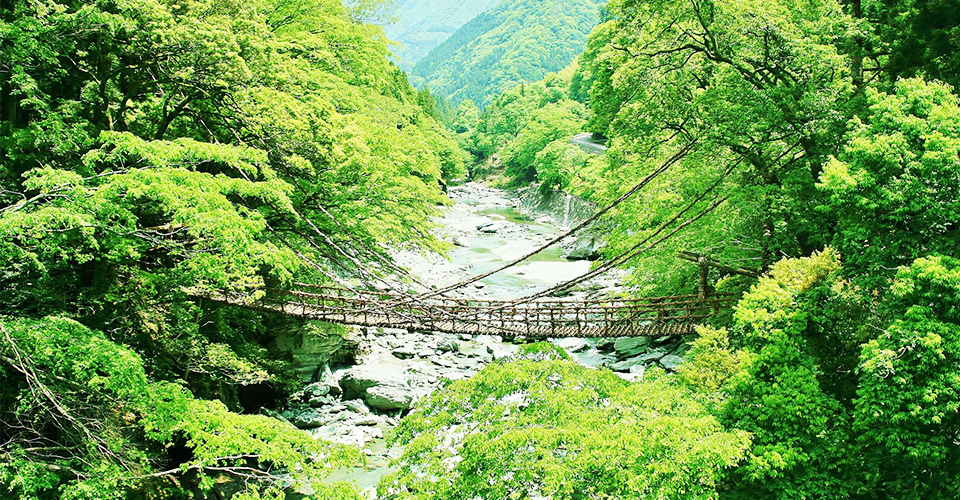 かずら橋（イメージ）