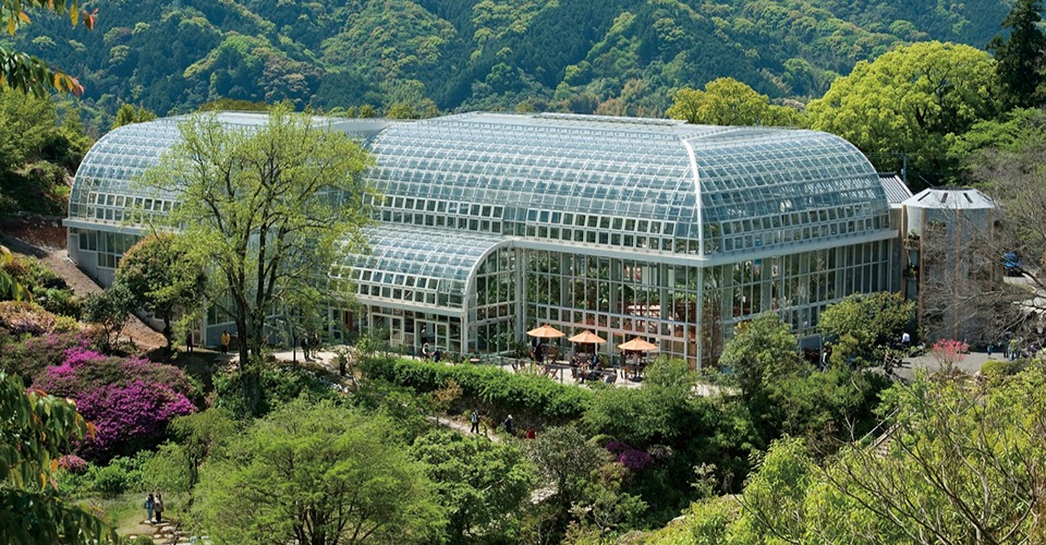 高知県立牧野植物園 （イメージ）