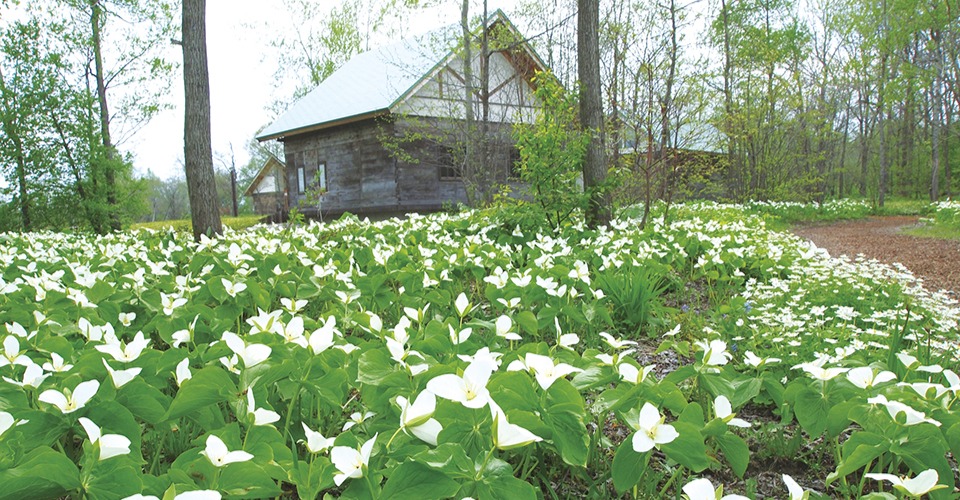 六花の森