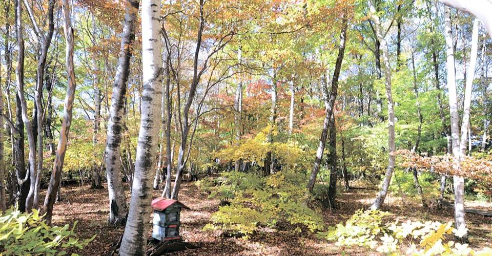 八ヶ岳倶楽部（イメージ）