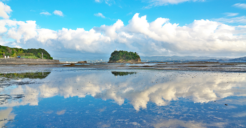天神崎／天神崎の干潟(イメージ)