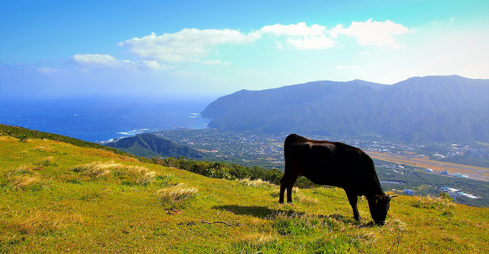 八丈島（イメージ）