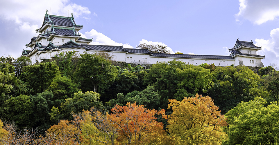 和歌山城／和歌山県（イメージ）