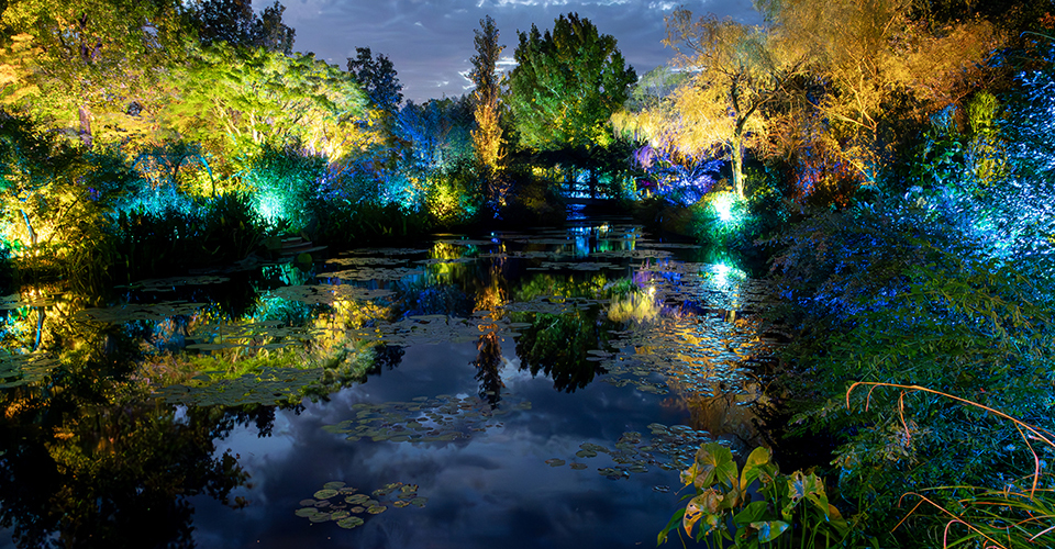 ナイトキャンバス（イメージ）