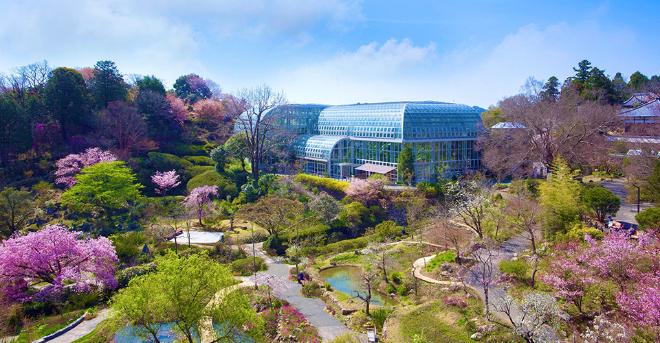 高知県立牧野植物園（イメージ）