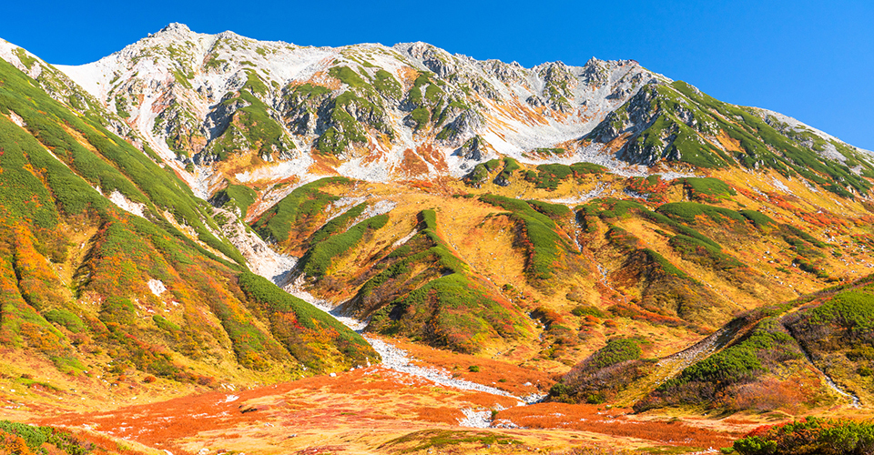 室堂（室堂平）（イメージ）