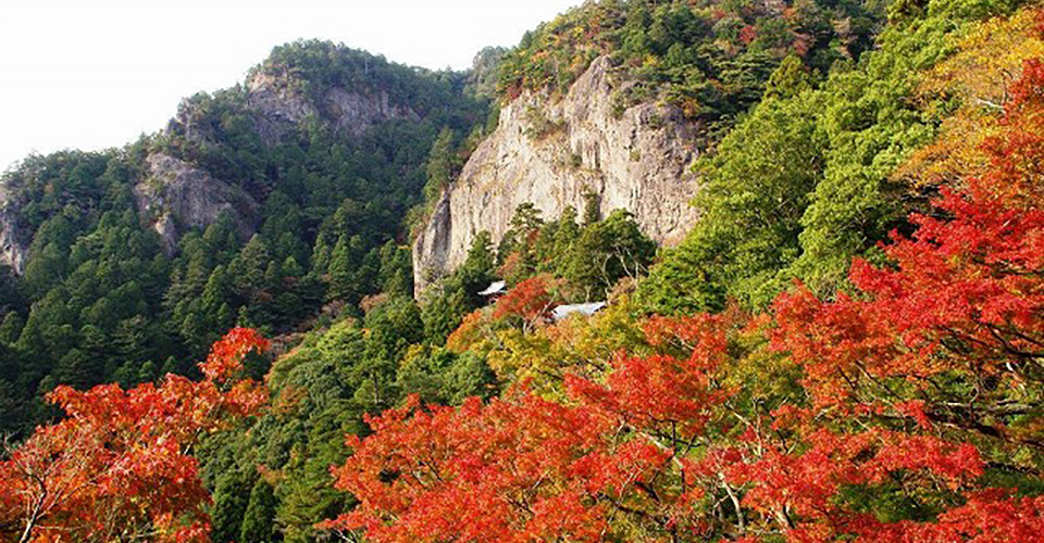 鳳来寺山の紅葉（イメージ）