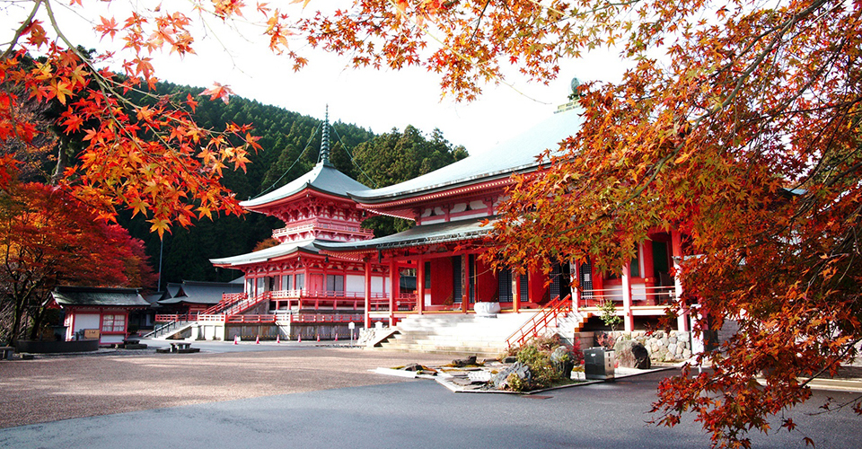 比叡山延暦寺 東塔 法華総持院 紅葉（イメージ）