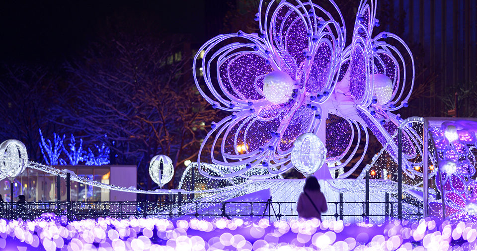 さっぽろホワイトイルミネーション（イメージ）