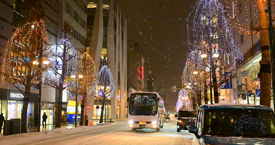 さっぽろホワイトイルミネーション（イメージ）