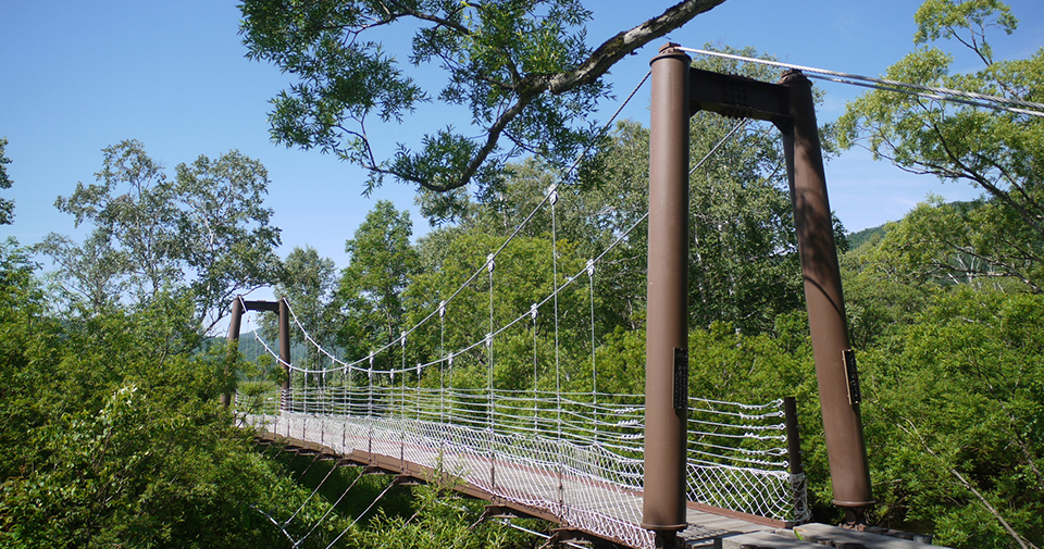 ヨッピ吊り橋（イメージ）