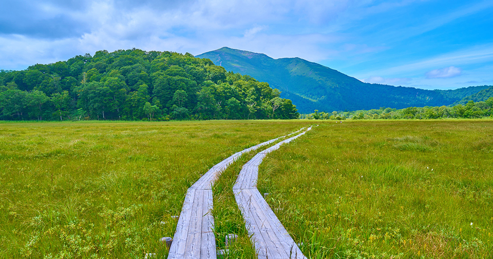 牛首（イメージ）