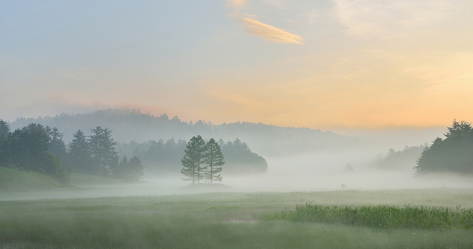 朝霧と朝焼けの尾瀬（イメージ）