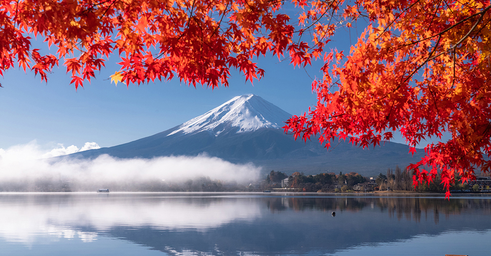 富士山と紅葉（イメージ）