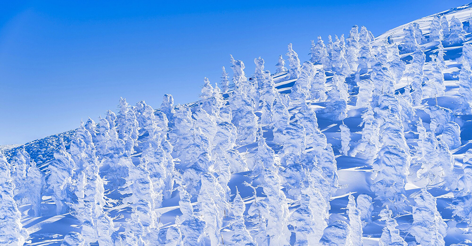 蔵王(イメージ)