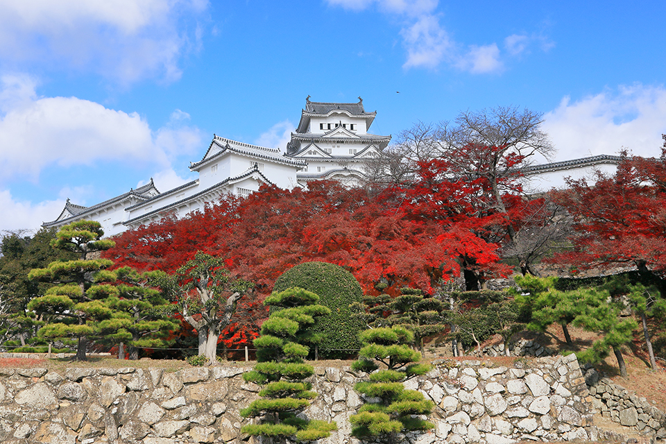 姫路城（イメージ）/「秋彩の白鷺城」兵庫県の今田 裕さんの作品
