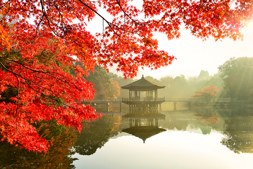 浮見堂（イメージ）/「古都深秋」兵庫県のP.N.Ｄｏｂｂｙさんの作品