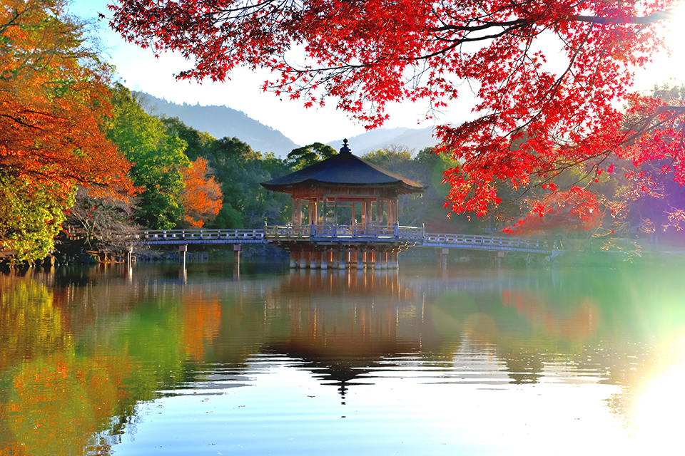 浮見堂（イメージ）/「朝日浮かぶ浮見堂」静岡県の山本 武正さんの作品