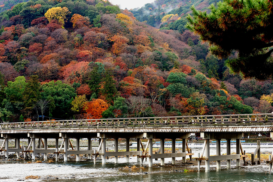 京都嵐山（イメージ）/「渡月橋と紅葉」東京都の坂本 智一さんの作品