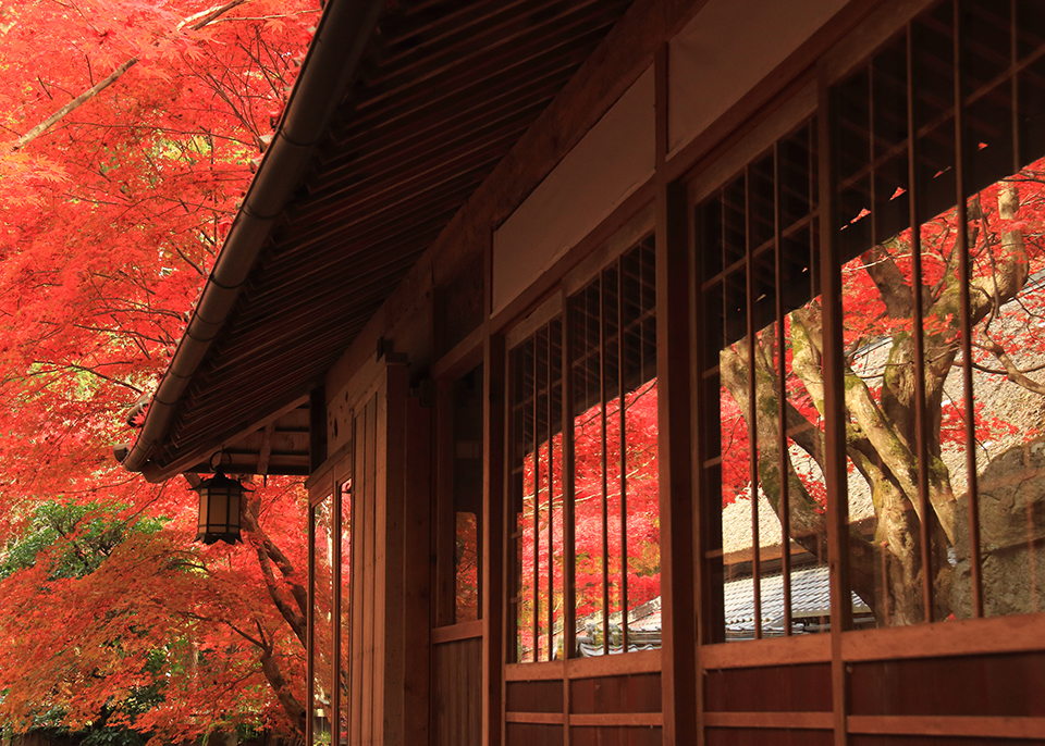 近江八幡・教林坊（イメージ）/「絵硝子」兵庫県の荒川 惠子さんの作品
