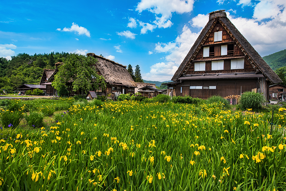 白川郷（イメージ）/「初夏の白川郷」兵庫県のPN.Ｄｏｂｂｙさんの作品