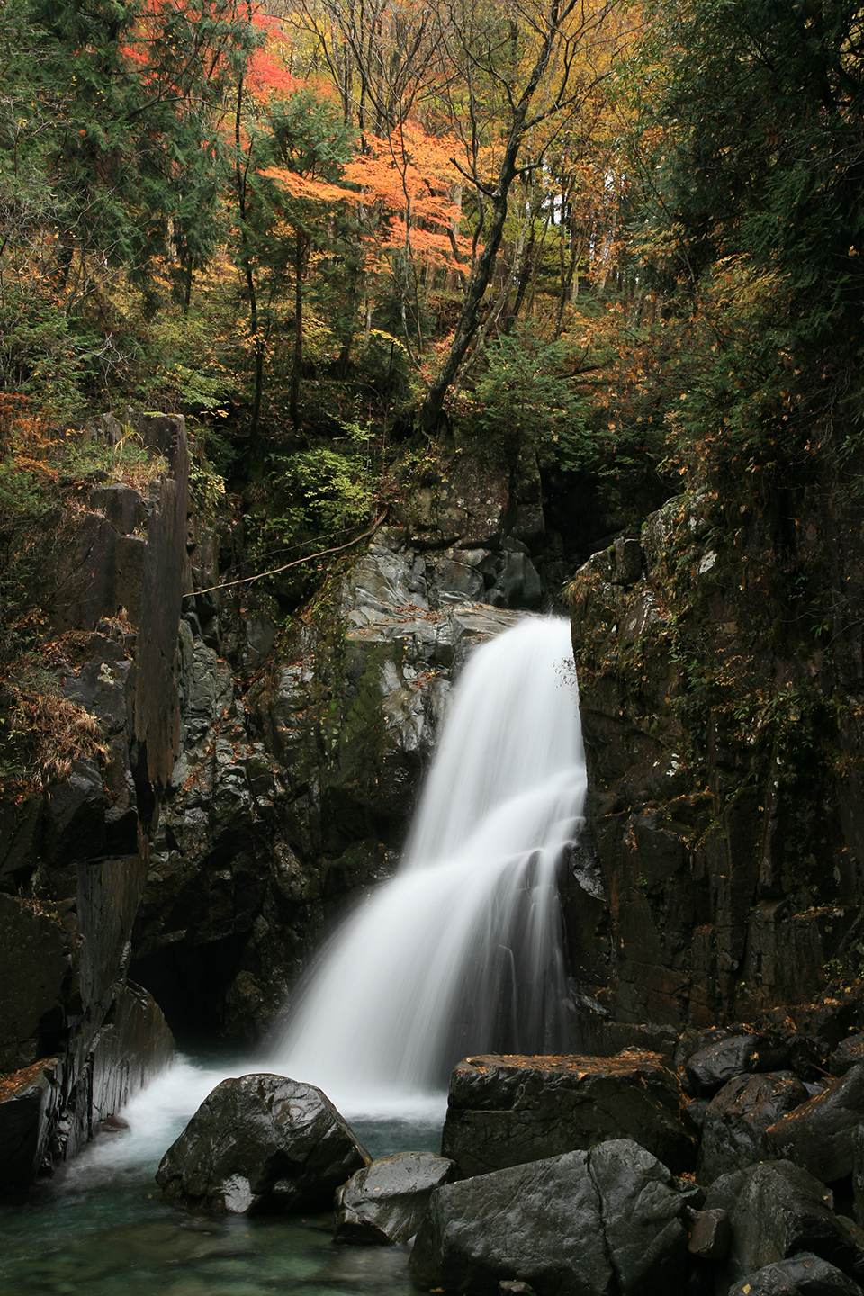 付知峡（イメージ）/「付知峡」岐阜県の永藤 康紘さんの作品