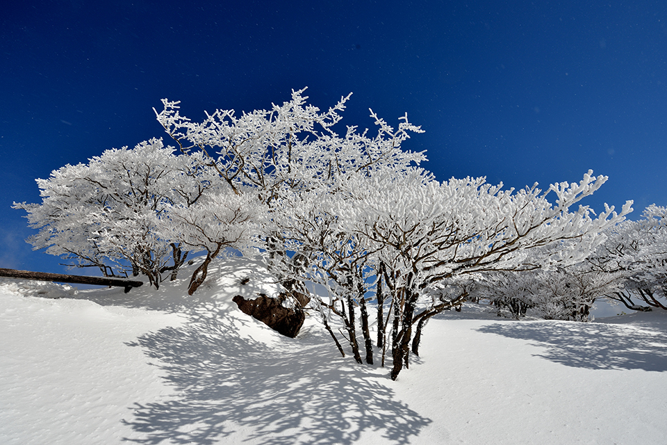 御在所岳（イメージ）/「御在所岳」愛知県の川原 菊彦さんの作品