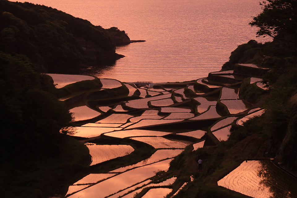 浜野浦の棚田（イメージ）/「棚田夕景」神奈川県の松木 加代子さんの作品