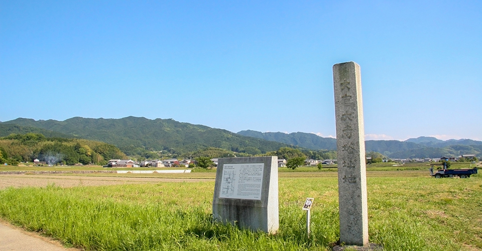 大官大寺跡（イメージ）