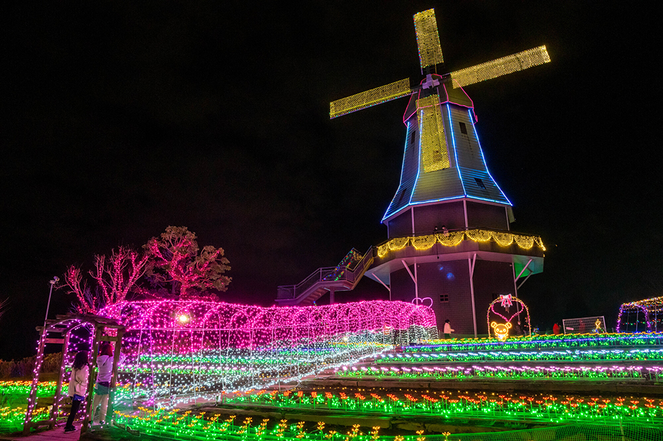 「光がつくる“Art” 水郷桜イルミネーション」（イメージ）