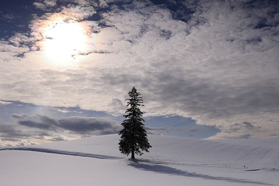 美瑛町（イメージ）/「彩雲に照らされて」北海道のPN.丘斗大地さんの作品