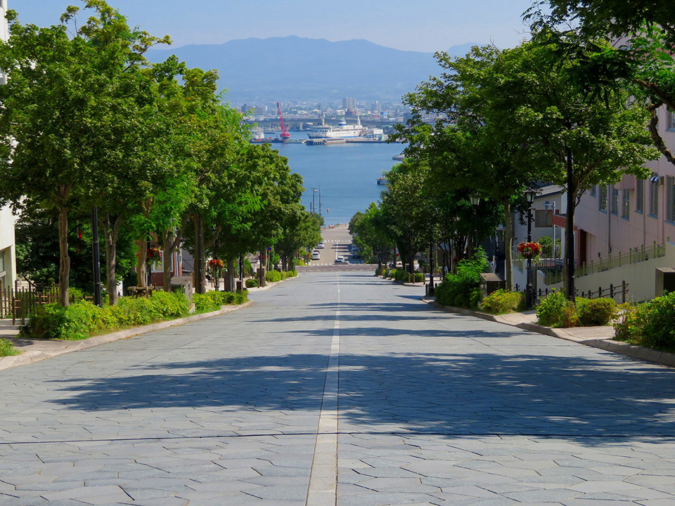 函館市（イメージ）/「八幡坂」東京都の羽賀 道行さんの作品