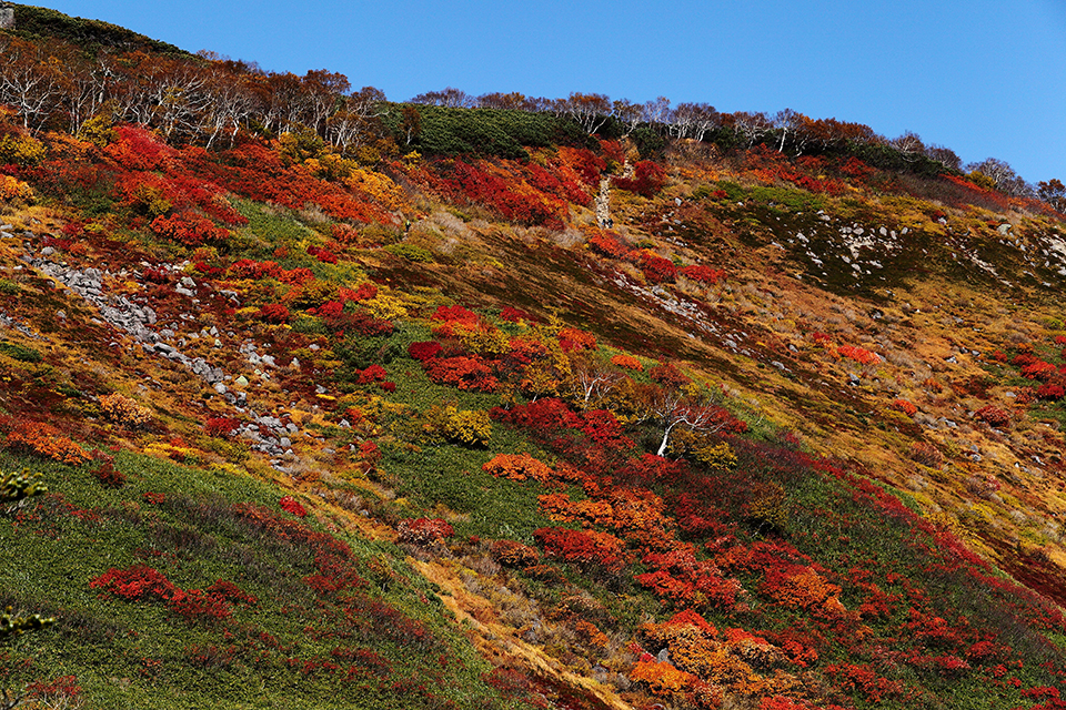 大雪山国立公園（イメージ）/「日本一早い紅葉」千葉県のPN.ｐｈｏｔｏｌｏｖｅ５５５さんの作品