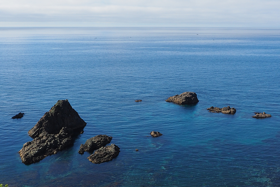 積丹半島（イメージ）/「積丹ブルー」吉戸ひろ子さんの作品